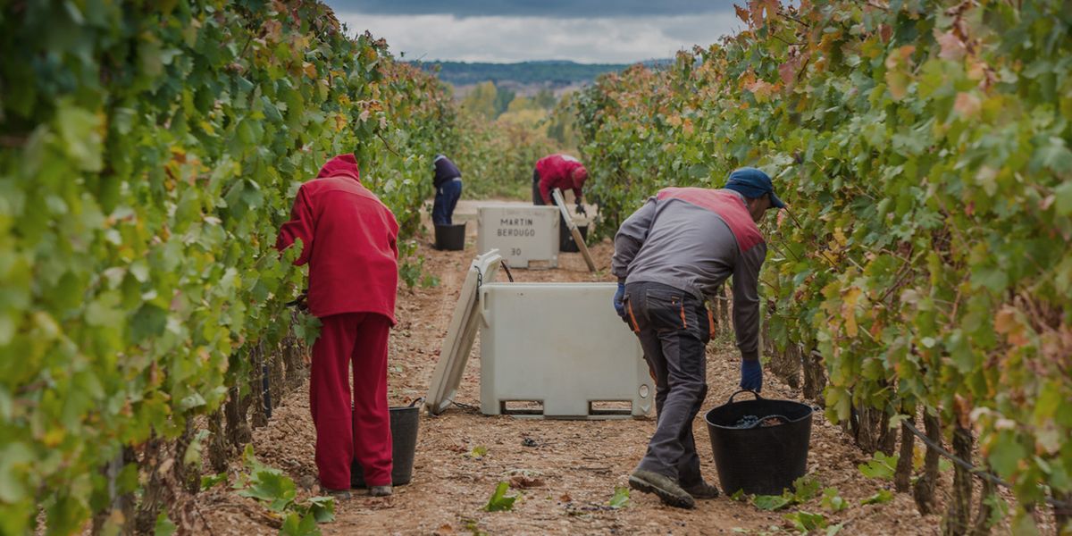 Agricultural equipment leasing